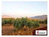 نمر اراضي للبيع في طلوزة، نابلس Image 2