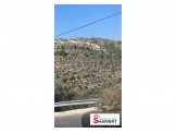 أرض في عارورة 875م بسعر مغري وتقسيط مباشر 24 شهر Image 2