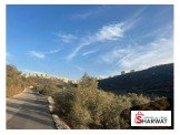 نمرة ارض كوشان طابو مستقل حوض العمدان Image 2
