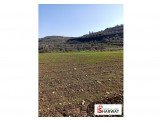 ارض 500 متر صالحة للبناء وللزراعة Image 2
