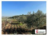 قطعة ارض تقع على شارع نابلس Image 2