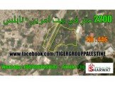 2700 متر في بيت امرين - نابلس  Image 2
