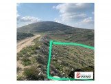 ارض بجنسنيا كوشان طابو للاستثمار  Image 3