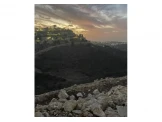 متوفر ارض للبيع Image 1
