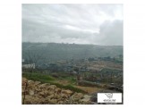 دونم و١٠٠ متر في كسبر  Image 3