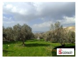 اررض دونم و500 متر في حلحول ارنبا Image 2