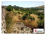 ارض خمسه دونم فيها طابو في حلحول طريق سعير Image 3
