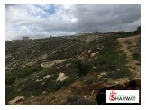 ارض رائعه في حلحول  Image 3