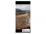 ارض ٤٣ دونم صالحة للبناء والتنمير Image 1