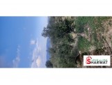 ارض للبيع صوريف ابو شوك 2200 متر مرتفعة مشجرة زيت Image 1