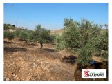 ارض 3.3 دونم للبيع على مفرق سعير - واد الشرق Image 1