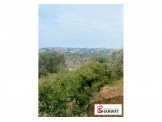 فرصه لا تعوض سعر للقطة Image 2