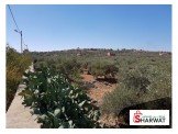 ارض 3 دونم صالحة للبناء Image 2