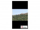 2 دونم قراوة بني زيد الجبل  Image 2