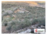 ارض ١٧٢٥٠ متر يعني ١٧ دونم وربع Image 2