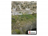 ارض 780 متر Image 3