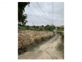 ارض للبيع تصنيف A بلدية الخليل وتفوح Image 1