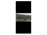 دنم أرض طابو Image 2