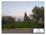 أرض 700 متر صالحة للبناء والسكن وفيها اشجار زيتون  Image 1