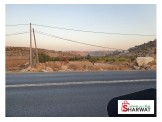 4.5 دونم مزروعات بالمشمش على الشارع الرئيسي  Image 1
