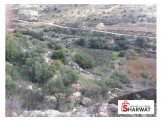 قطعة أرض في منطقة الخليل لوزا " القطروانية " Image 1
