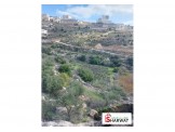 قطعة أرض في منطقة الخليل لوزا " القطروانية " Image 2