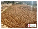 أرض دونم و200 متر في حلحول أرنبا Image 2