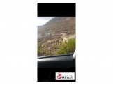 ارض ٥٠٠متر دويربان .واد الزرزير Image 2