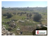 ١٦٠٠م للبيع قرب واد كلاب  Image 1
