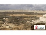 ارض مساحة 500م Image 1