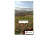 قطعة ارض موقع مميز  Image 1