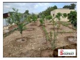 أرض مساحة ٥٠٠ م. Image 3