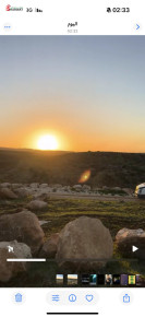 ارض ⁦⁦1500⁩⁩ متر للبيع أراضي دير ...