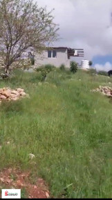 دنم أرض مزروع للبيع في بيت لحم Image 2