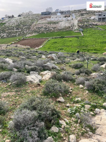 ارض سكنية مميزة Image 3