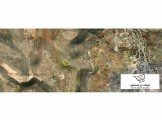 34 دونم كوشانين - رمون رام الله Image 1