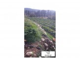 ارض ١.٨٠٠ متر  Image 2