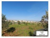 نمرة في جابريات  Image 2