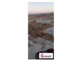 ارض 21 دونم صالحه للزراعة Image 2