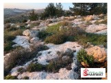 قطعة أرض نصف دونم مطلة وممتازة  Image 2