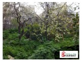 ارض 800 متر صالحه للبناء Image 3