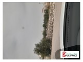ارض صالحة للبناء ويوجع بها شجر زيتون  Image 2