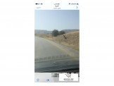 6 دنم من اراضي العوجا طريق الشلال شارع 60 Image 1