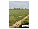 قطعة ارض في الظاهرية  Image 1