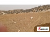 ١٢دونم في برية بني نعيم زعطوط مع إمكانية التجزئة Image 3