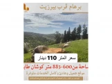 #للبيع قطعة #اراضي بورهام  مساحات من 600 متر - 1