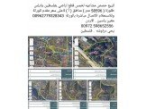 عقار فلسطين نابلس طلوزة Image 1