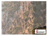 دونم ونص  Image 1