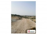 ارض ٢ دونم خلة الزعرورة Image 2