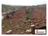 قطعة أرض ٣٠ دونم صالحة للبناء والزراعة  Image 2